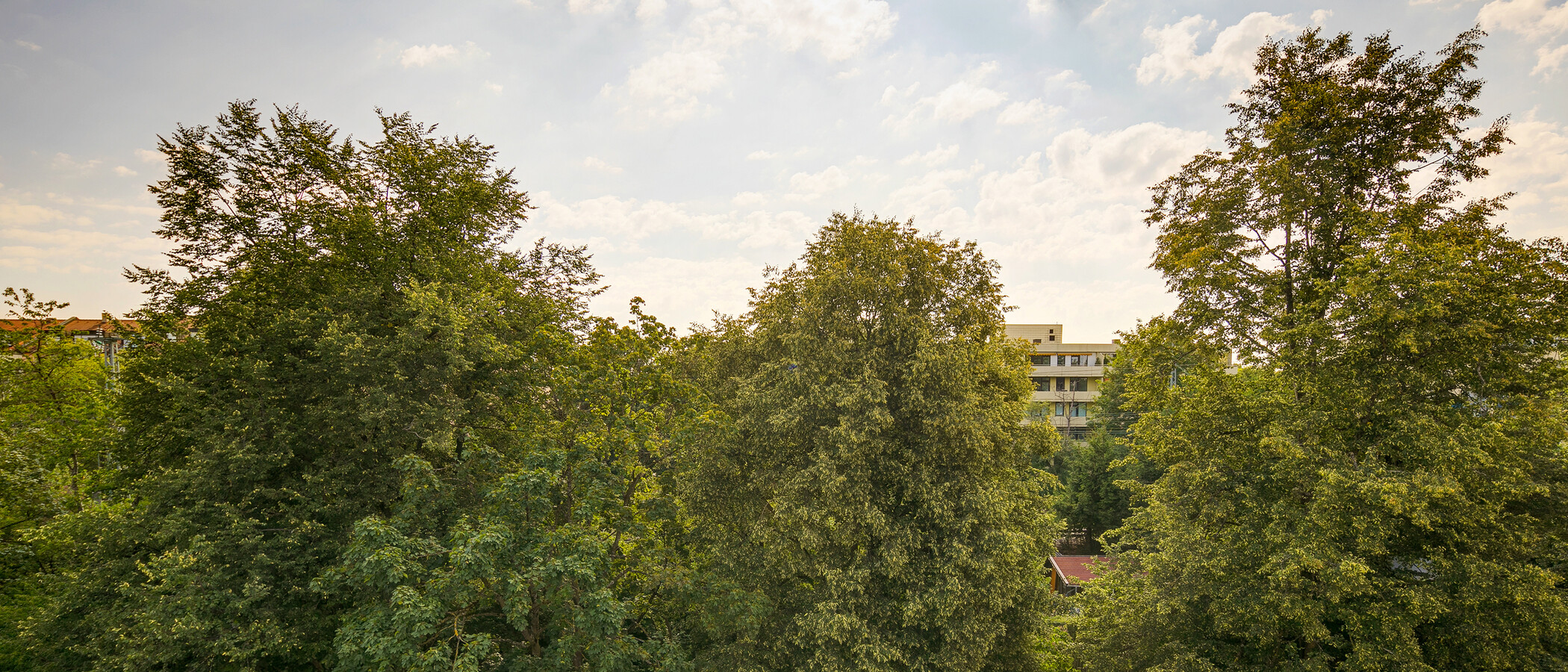 квартира München Sendling-Westpark 02 вид из окна 10496
