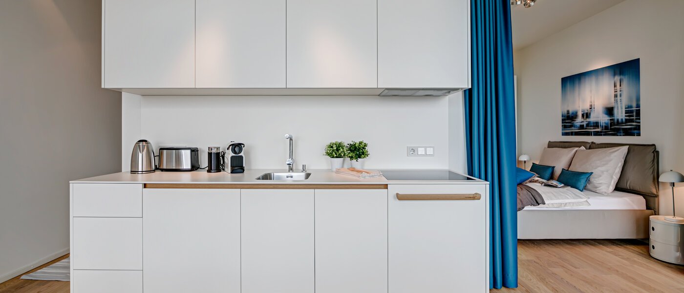 квартира München Nymphenburg 01 кухня 10533