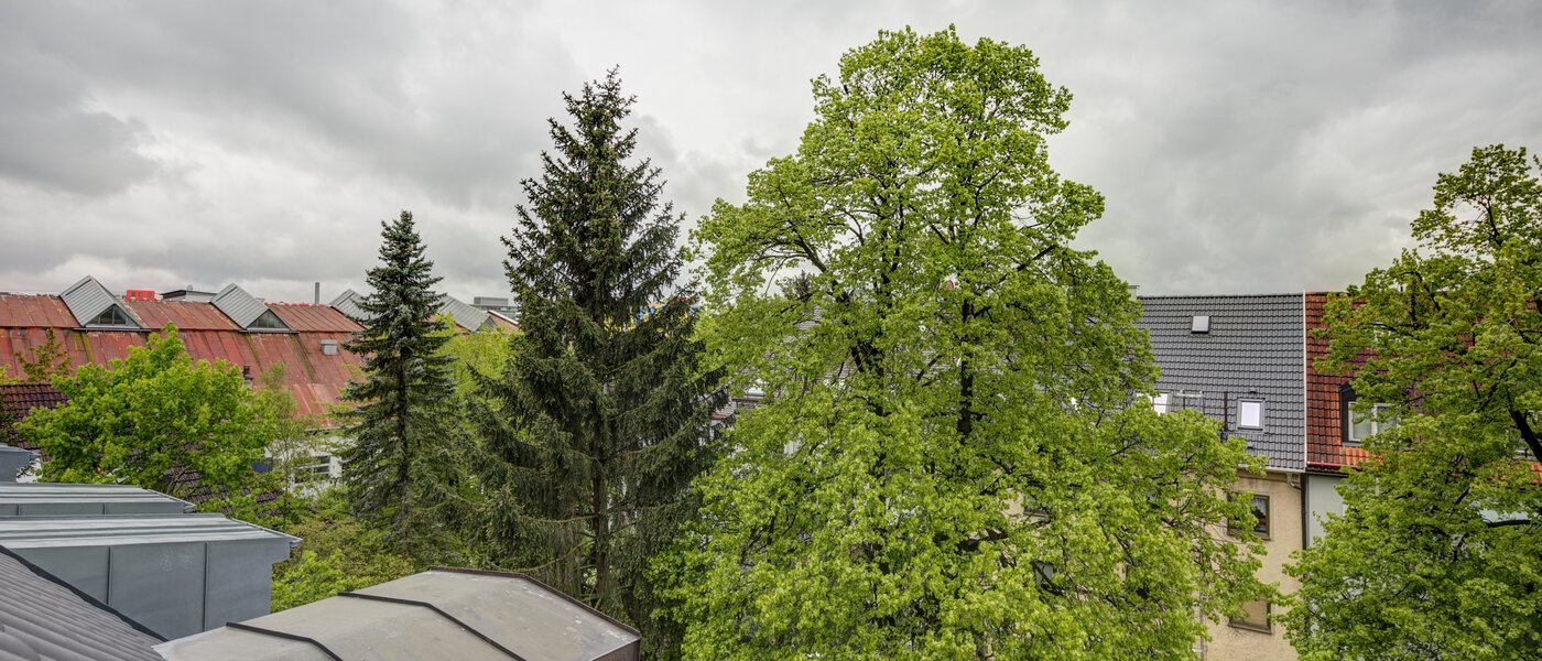 мансардная квартира München Obersendling 03 вид из окна 10566