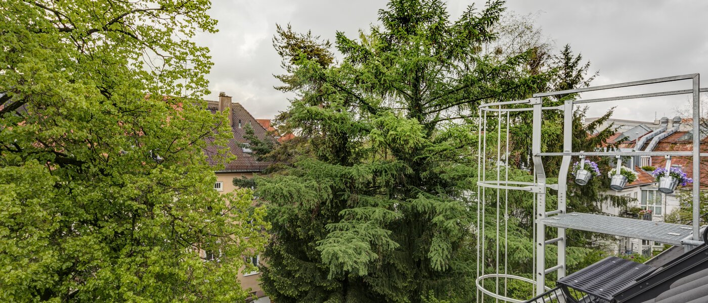 мансардная квартира München Obersendling 04 вид из окна 10566