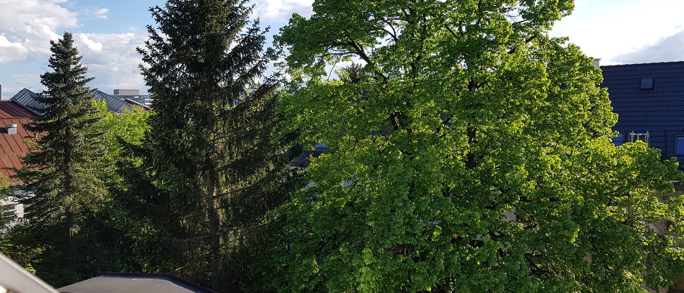 мансардная квартира München Obersendling 06 вид из окна 10566