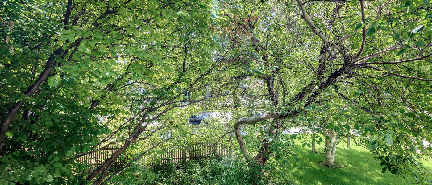 квартира München Bogenhausen 02 вид из окна 10643