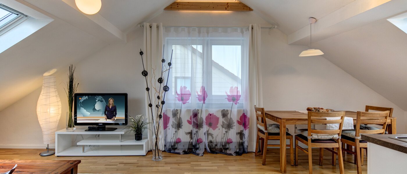 мансардная квартира Eching 04 гостиная 10655