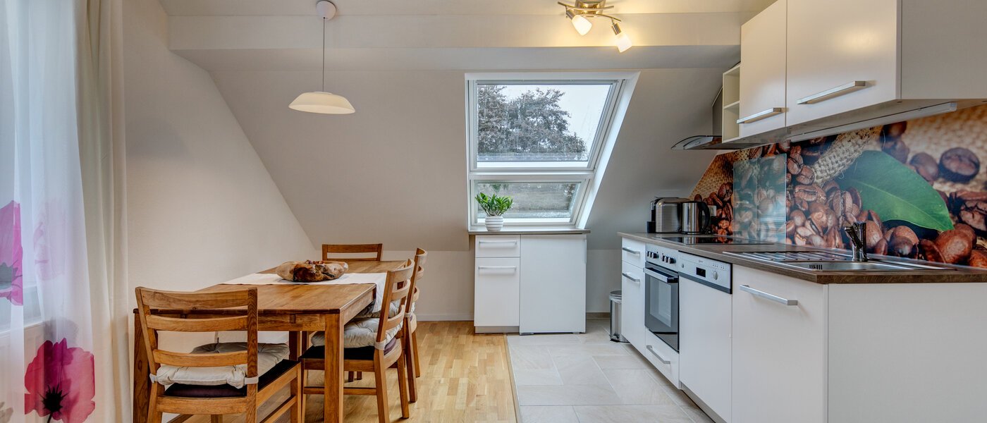 мансардная квартира Eching 01 кухня 10655