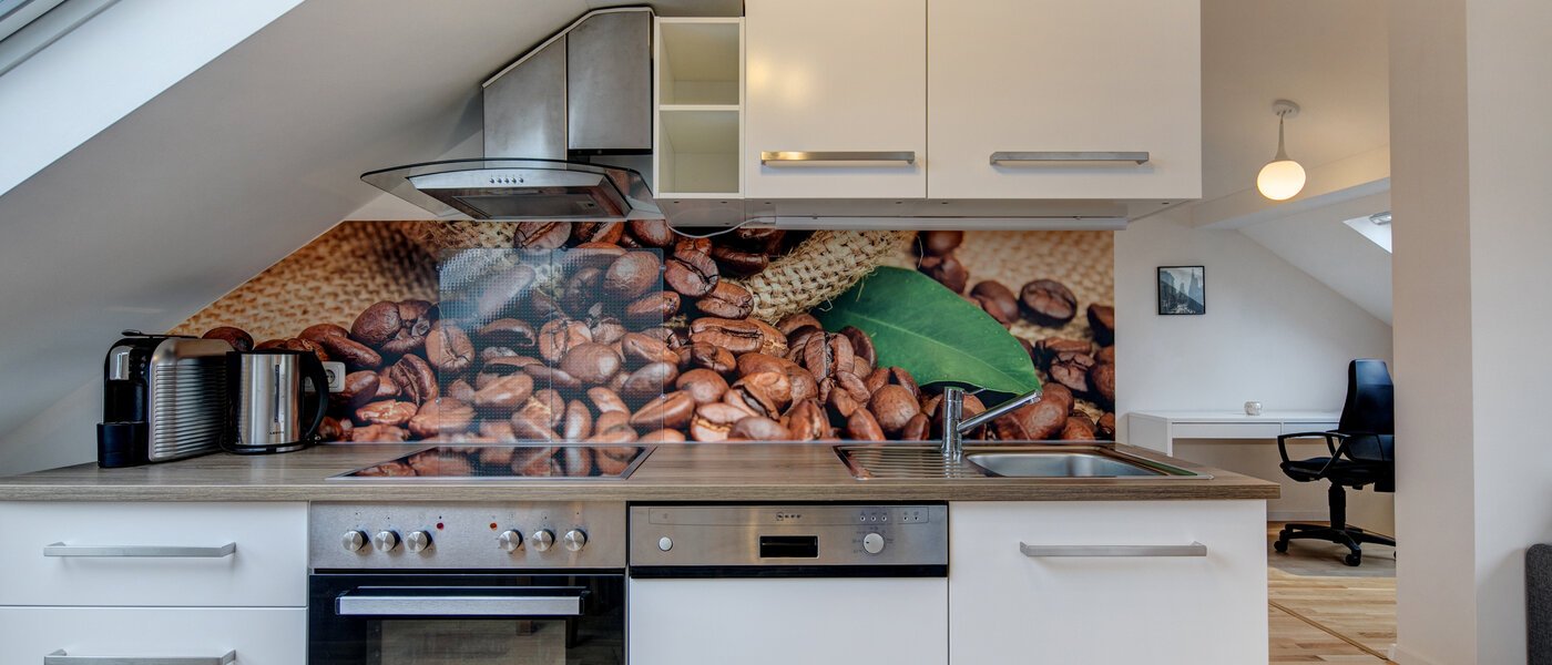 мансардная квартира Eching 02 кухня 10655