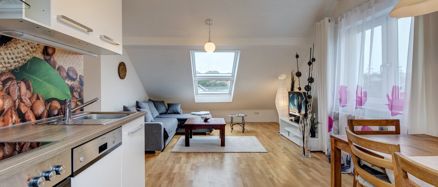 мансардная квартира Eching 03 кухня 10655