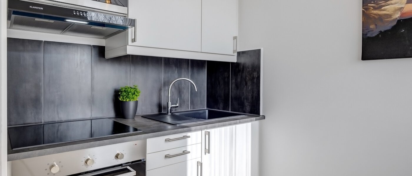 квартира München Milbertshofen 01 кухня 10709