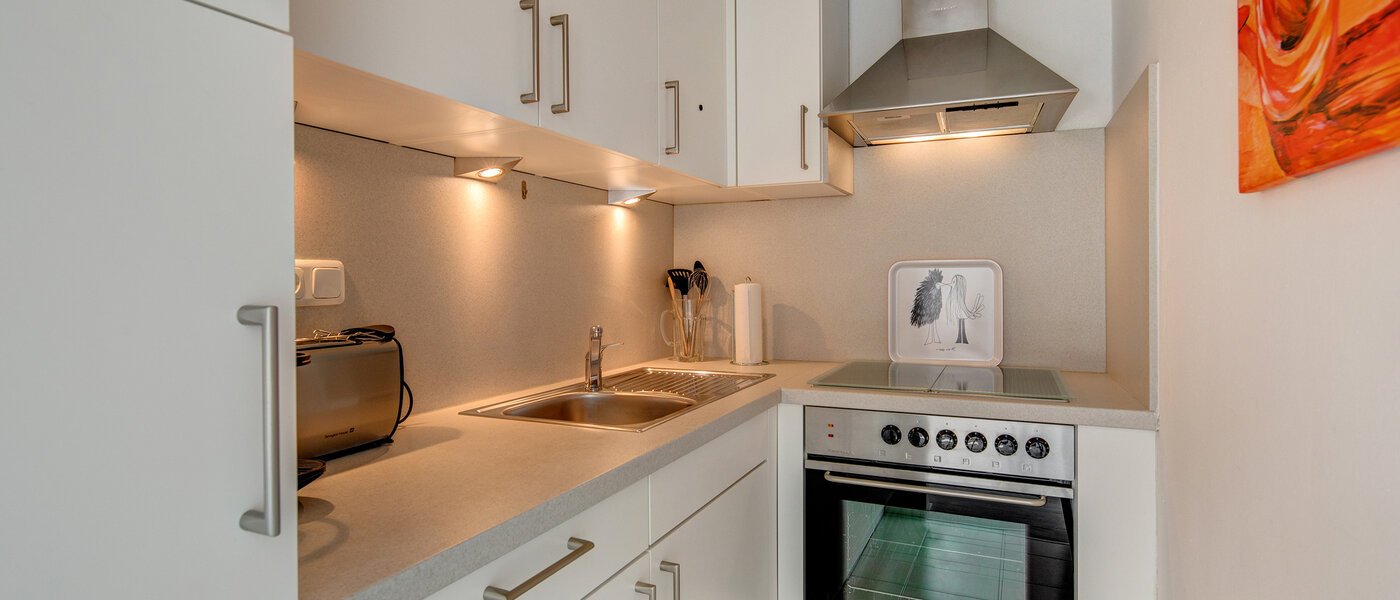 квартира München Nymphenburg 01 кухня 10722