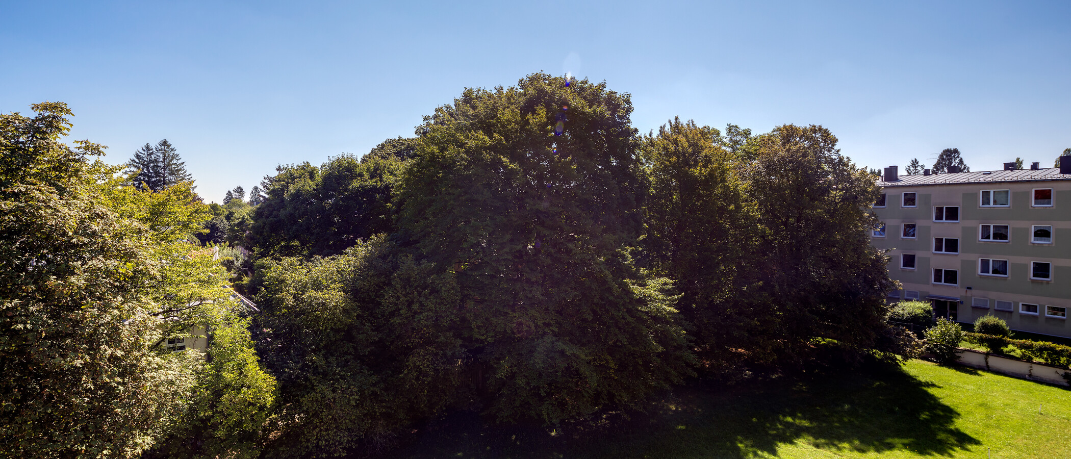 квартира München Berg am Laim 01 вид из окна 10726