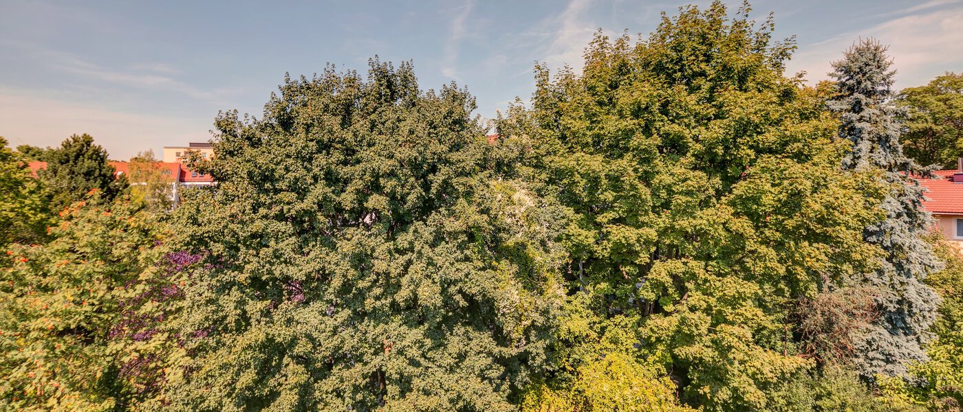 квартира München Ramersdorf 02 вид из окна 10733