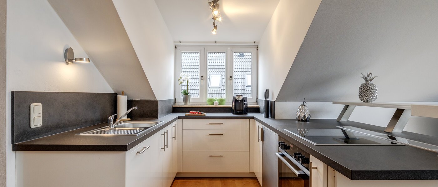 мансардная квартира München Denning 01 кухня 10809