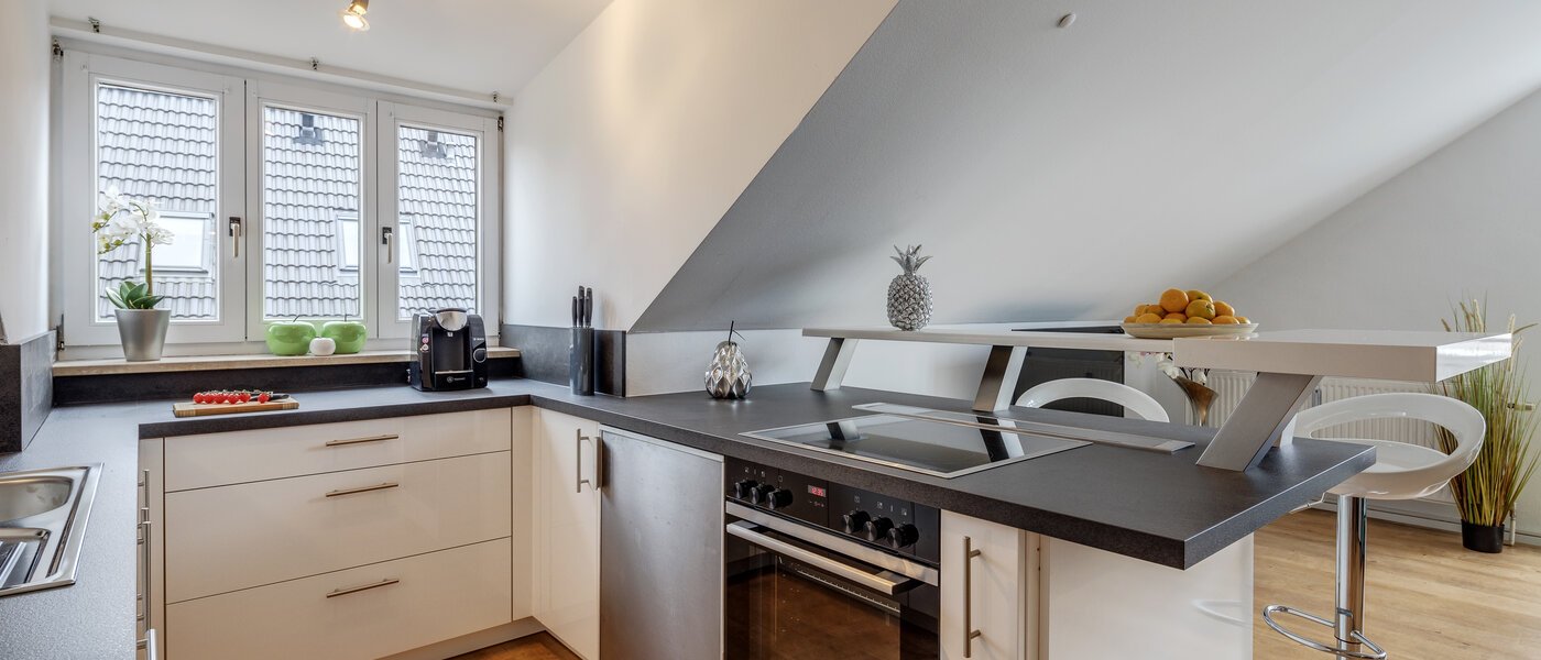 мансардная квартира München Denning 02 кухня 10809