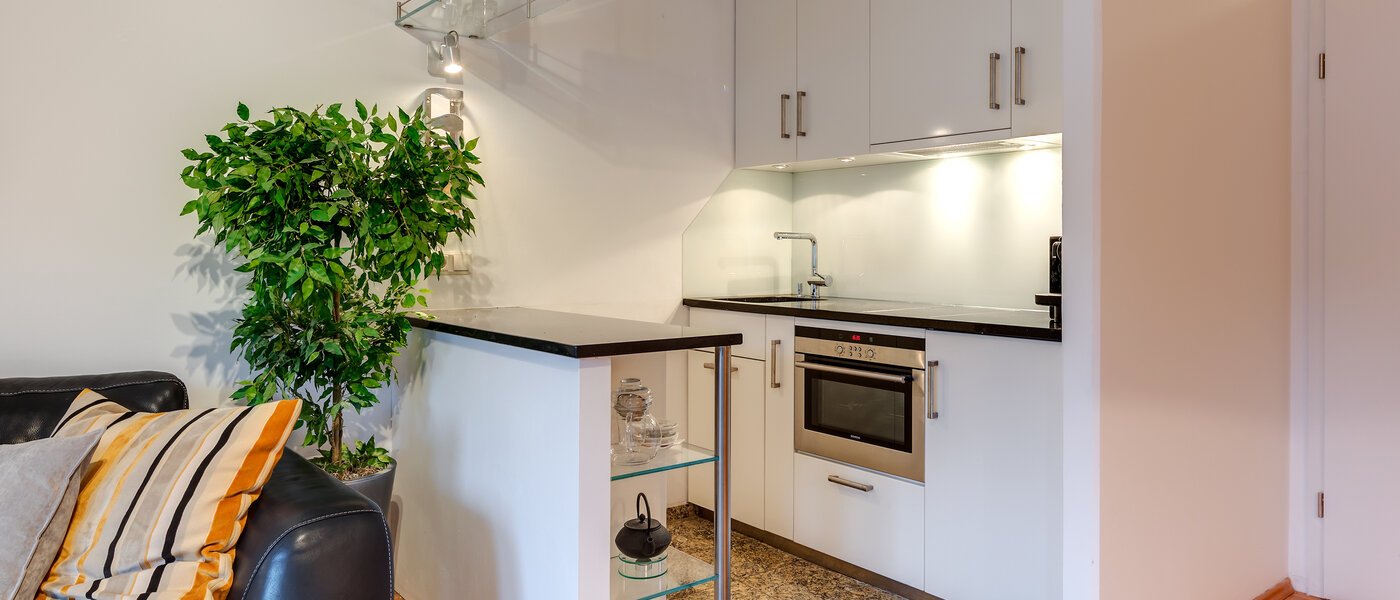 квартира München Sendling 01 кухня 10820