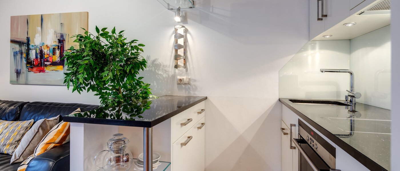 квартира München Sendling 02 кухня 10820