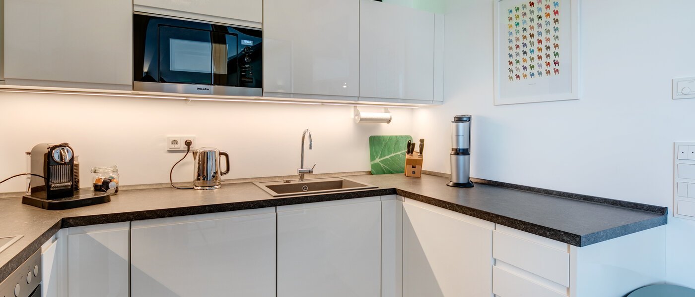 квартира-галерея München Maxvorstadt 03 кухня 10881