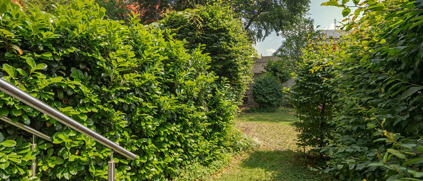 квартира München Haidhausen 01 вид из окна 10914