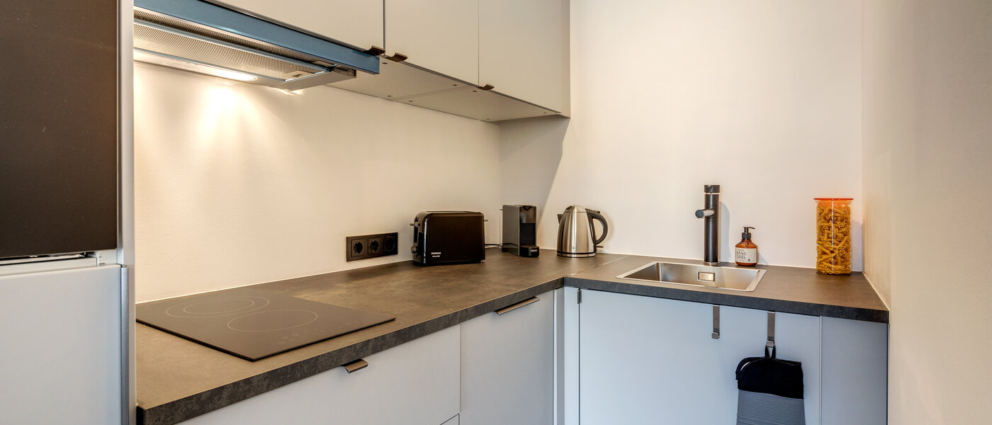 квартира München Obermenzing 01 кухня 10924