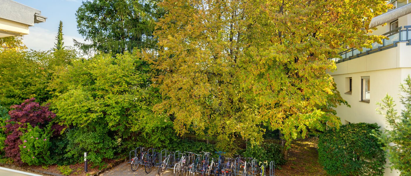 квартира München Westpark 01 вид из окна 10928