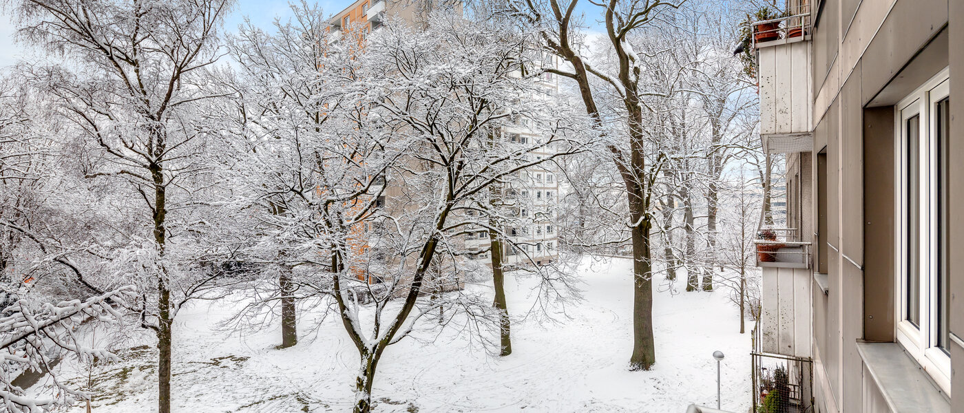 квартира München Parkstadt Bogenhausen 01 вид из окна 10938
