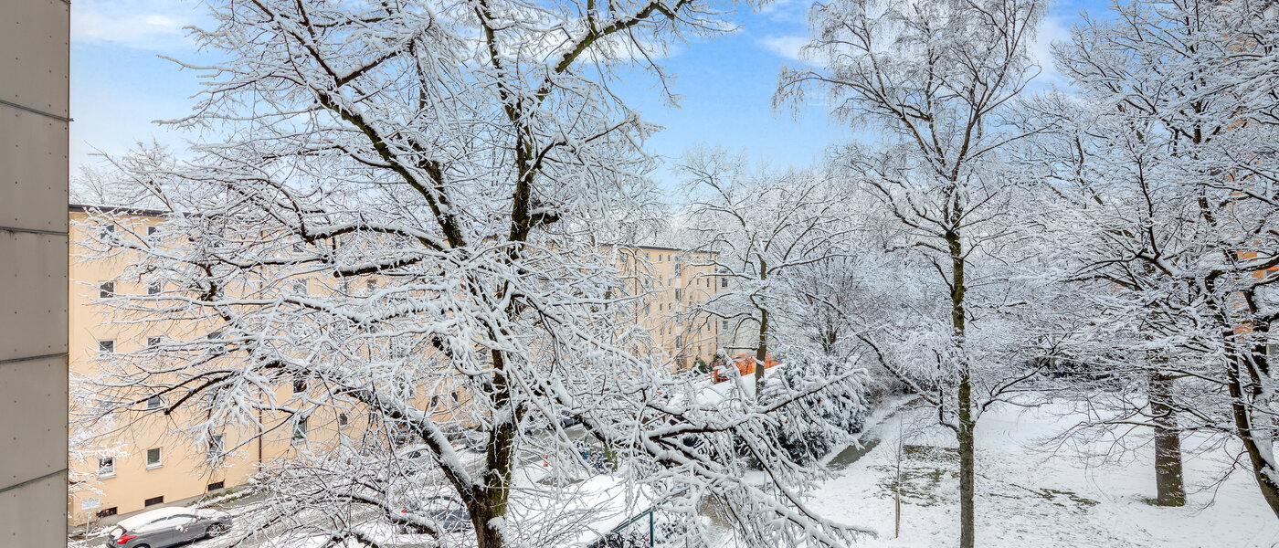 квартира München Parkstadt Bogenhausen 02 вид из окна 10938