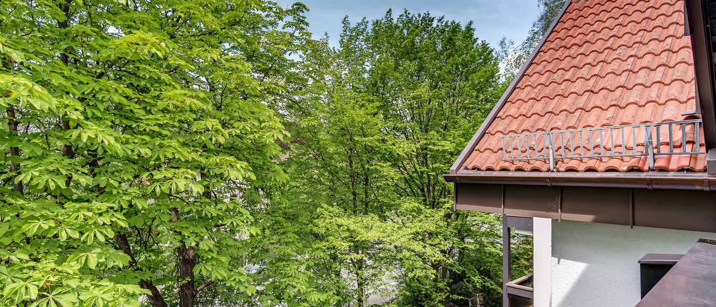 двухэтажная квартира München Oberföhring 02 вид из окна 10997