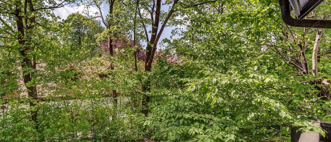 двухэтажная квартира München Oberföhring 04 вид из окна 10997