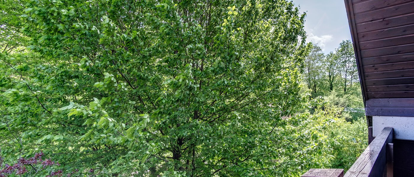 двухэтажная квартира München Oberföhring 05 вид из окна 10997