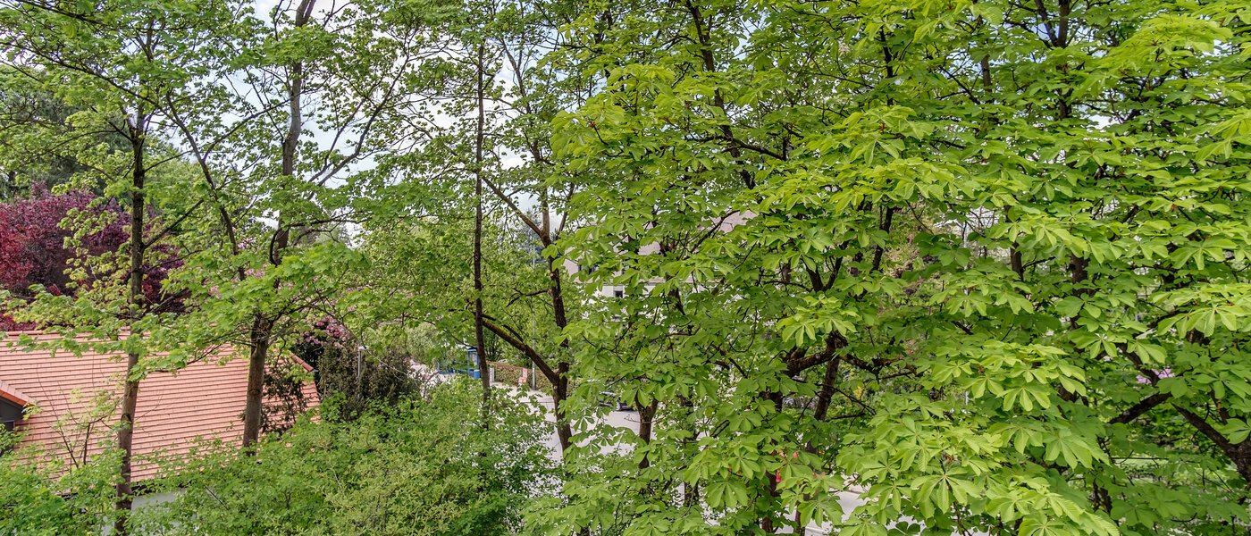 двухэтажная квартира München Oberföhring 07 вид из окна 10997