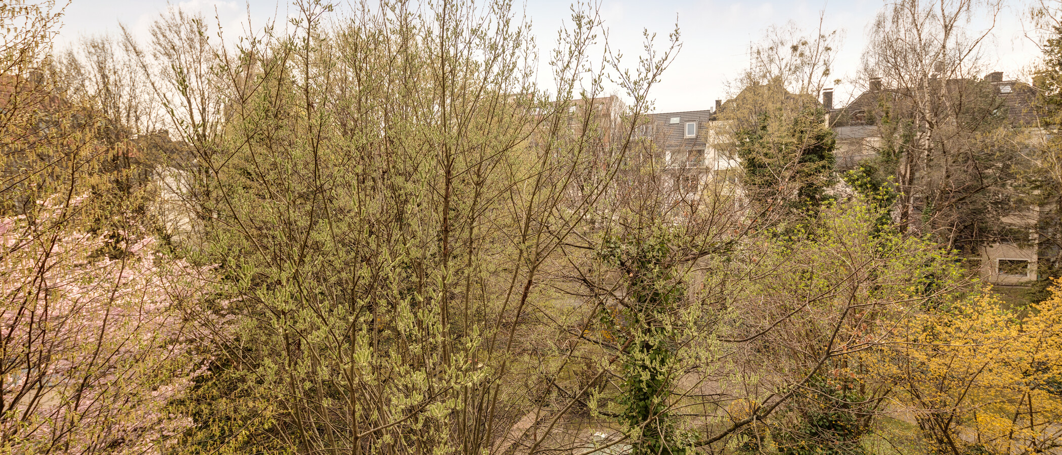 двухэтажная квартира München Schwabing-West (rund um den Hohenzollernplatz) 02 вид из окна 11000