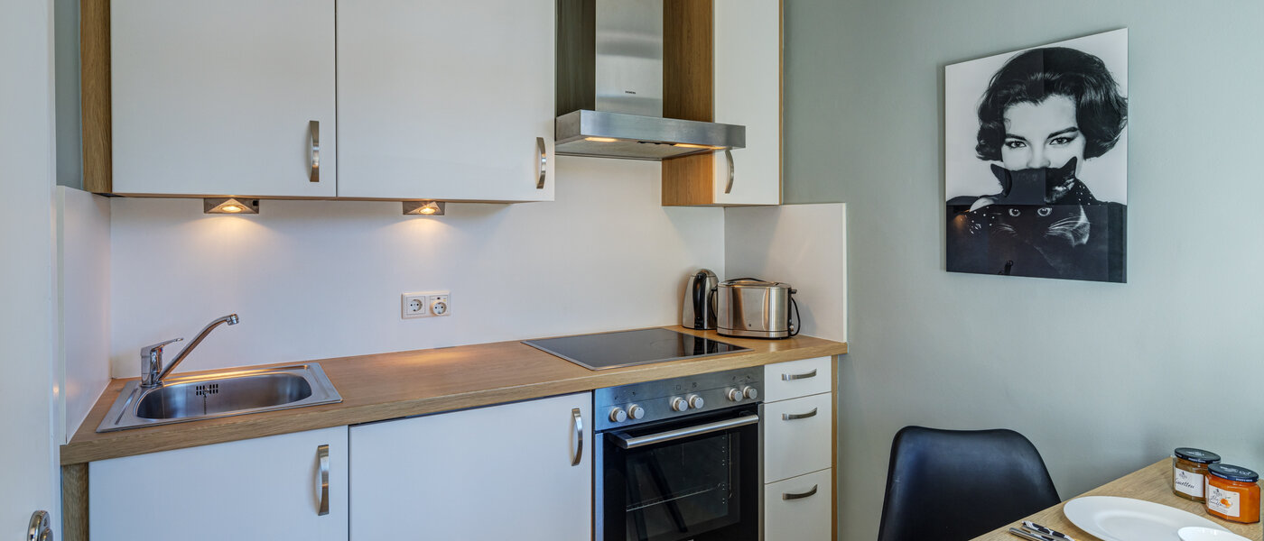 квартира München Nymphenburg 02 кухня 11055