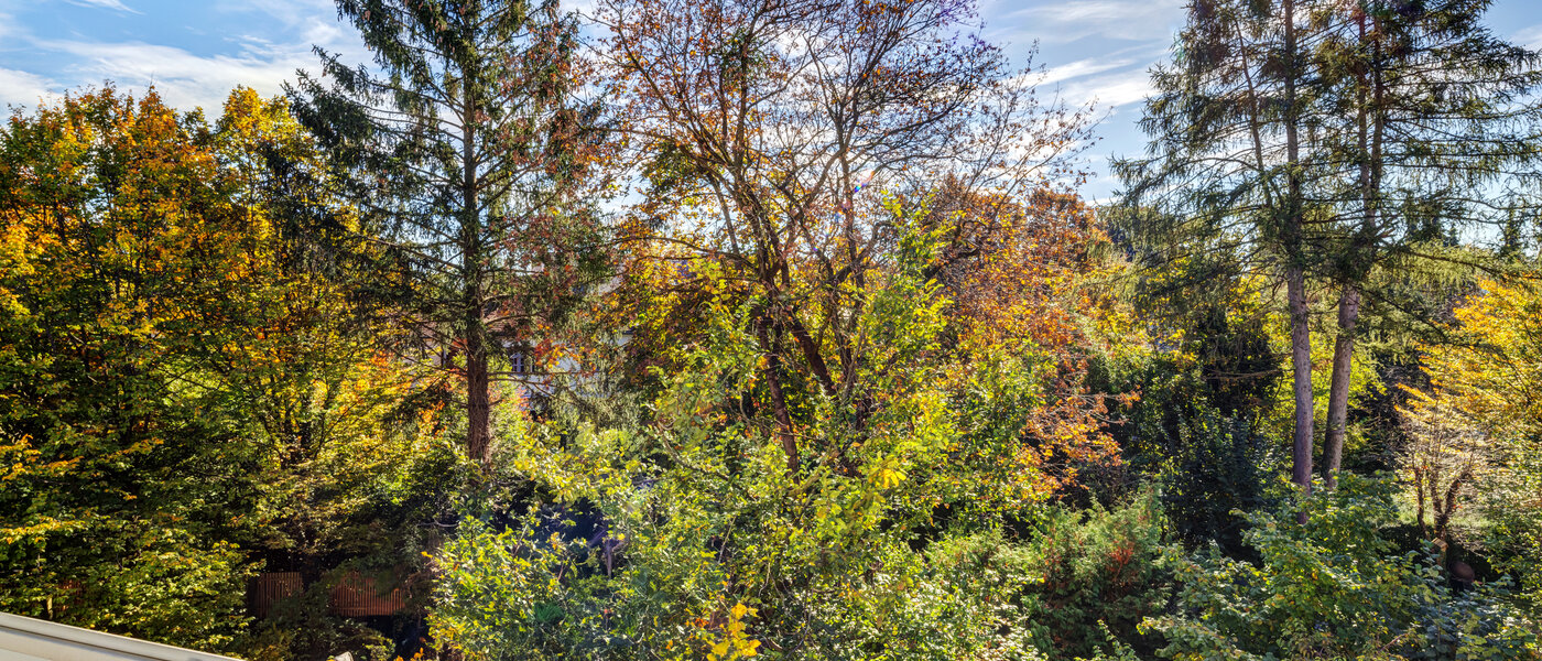 квартира München Nymphenburg 01 вид из окна 11055