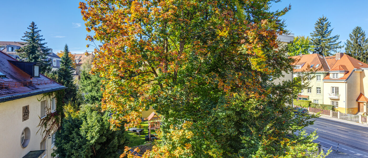 квартира München Nymphenburg 03 вид из окна 11055