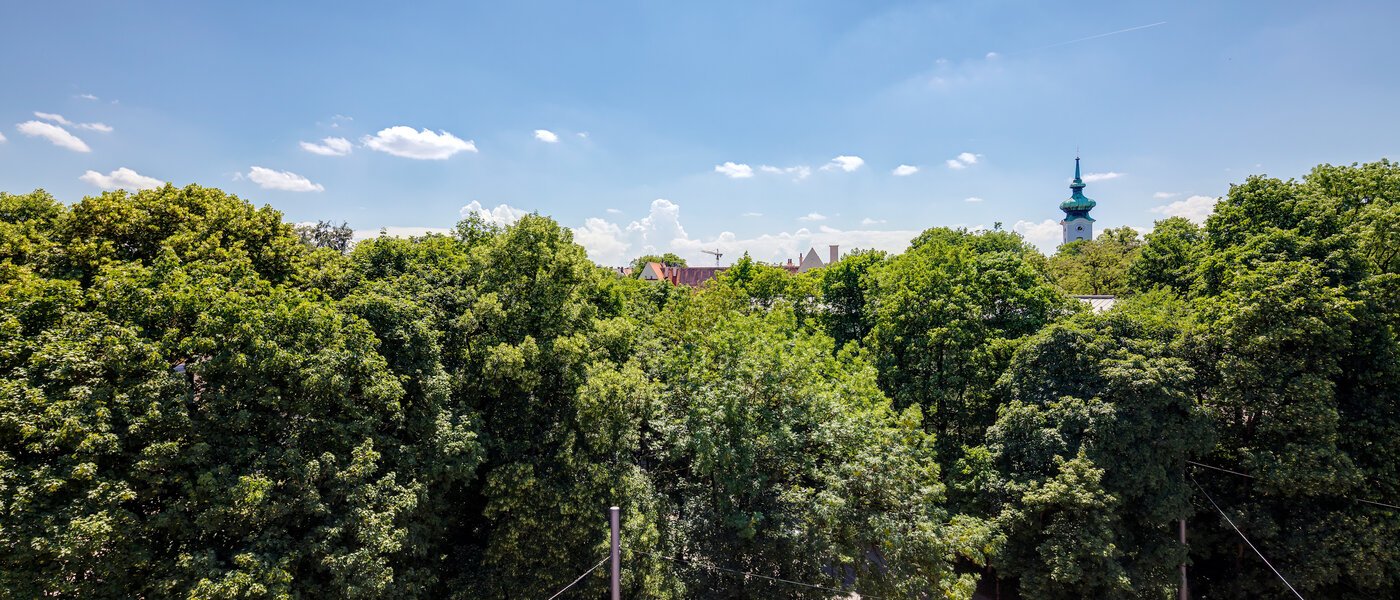 мансардная квартира München Bogenhausen 01 вид из окна 11076