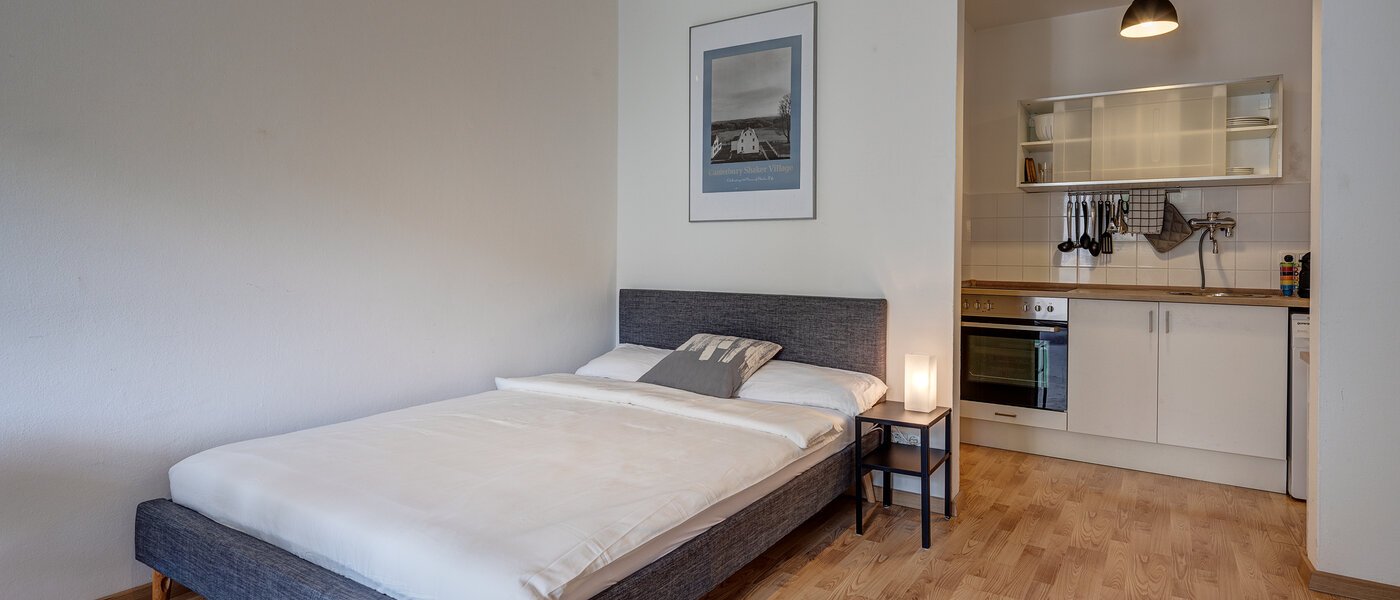 квартира München Maxvorstadt - Rund um den Josephplatz 01 зона для сна 11083