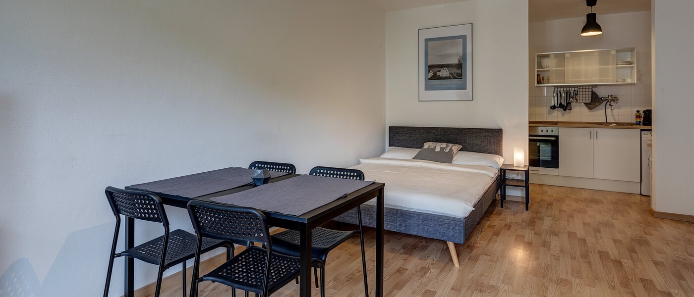 квартира München Maxvorstadt - Rund um den Josephplatz 04 жилое пространство 11083