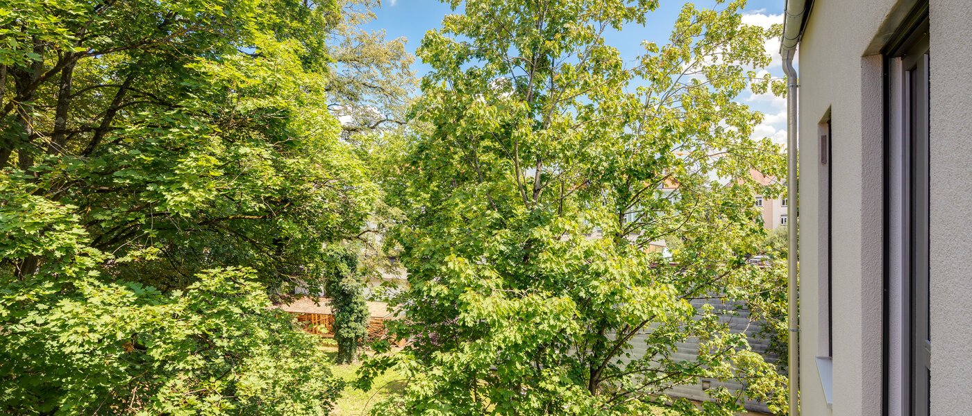 квартира München Pasing 03 вид из окна 11135