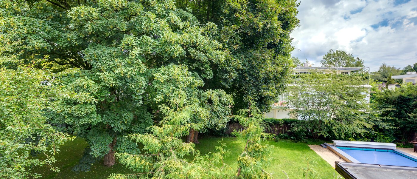 квартира München Herzogpark 01 вид из окна 11149