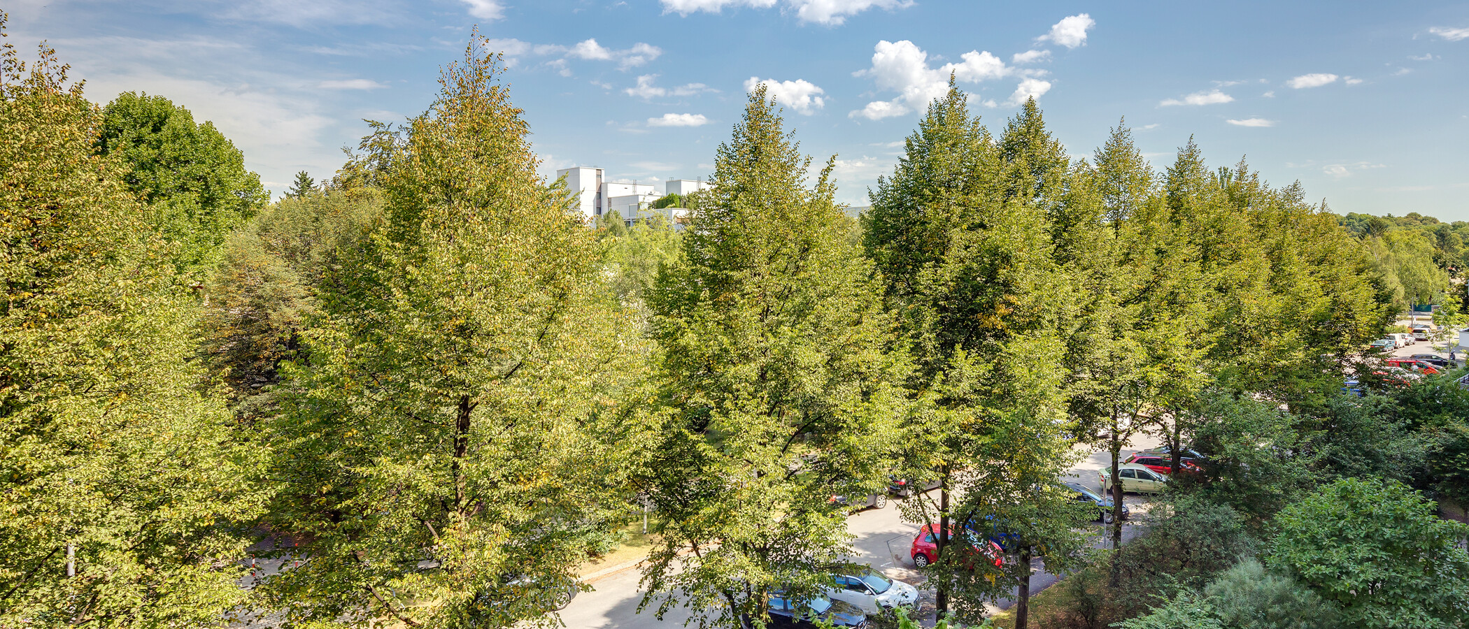 квартира München Schwabing-West 02 вид из окна 11193