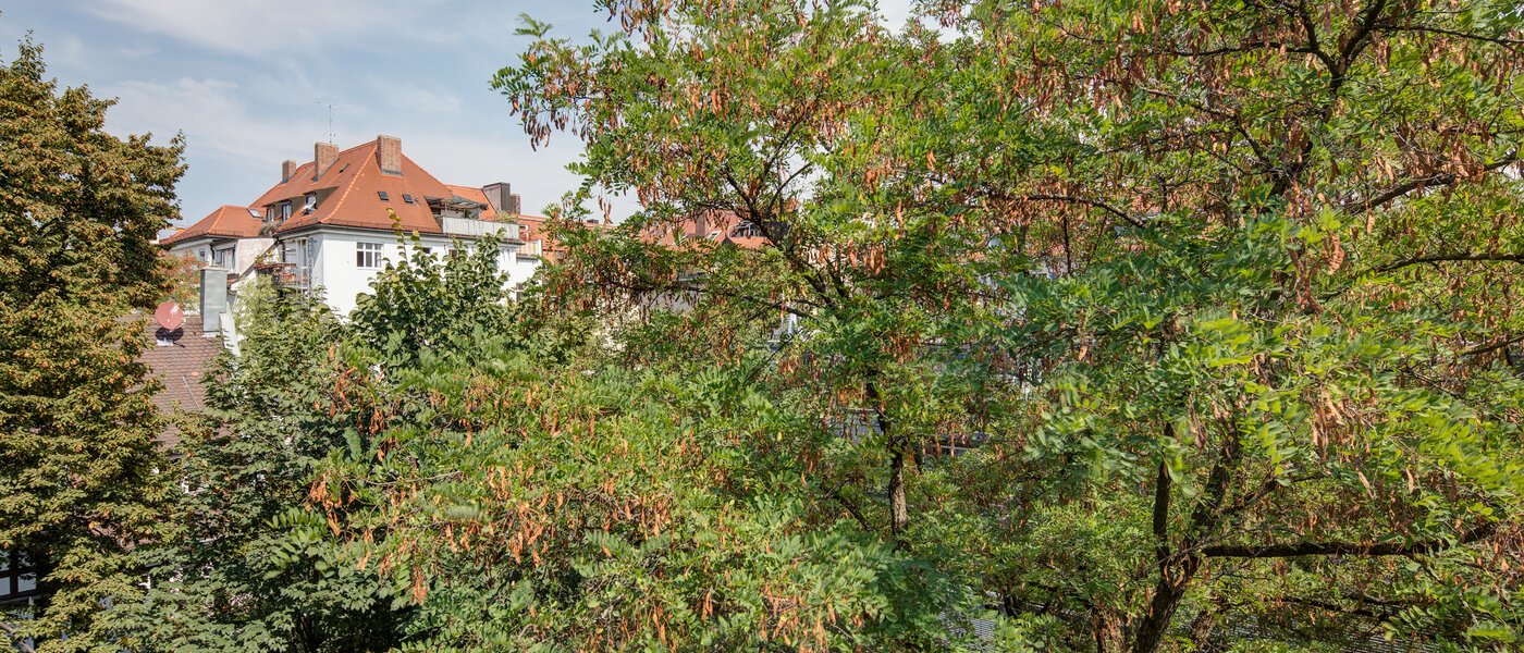 квартира München Schwabing 01 вид из окна 11220