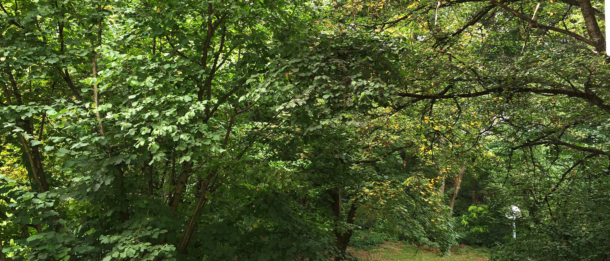 квартира München Schwabing-West 01 вид из окна 11238