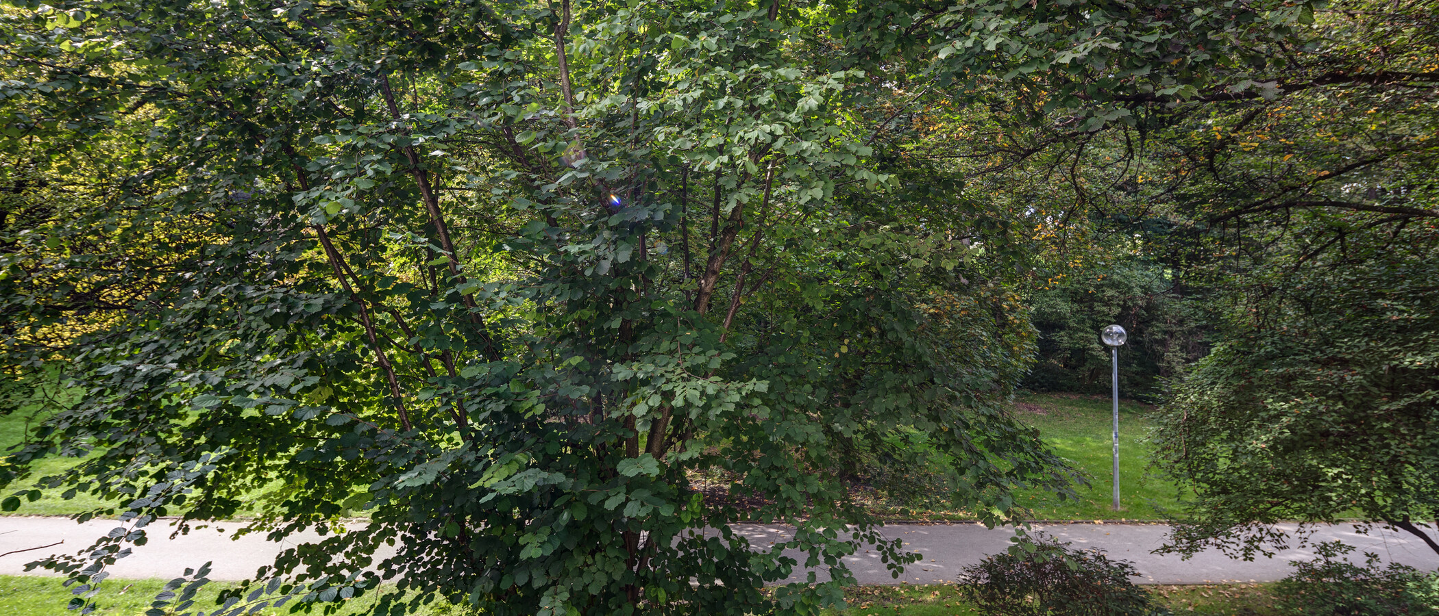 квартира München Schwabing-West 03 вид из окна 11238