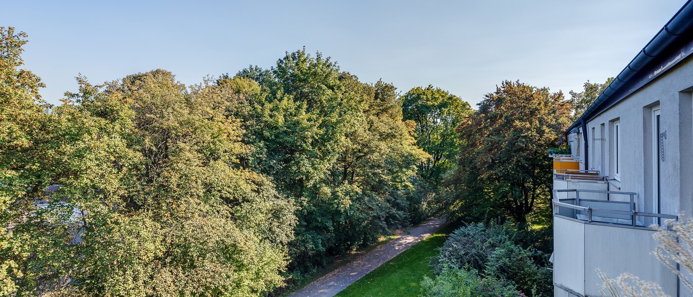 квартира München Parkstadt Bogenhausen 01 вид из окна 11256