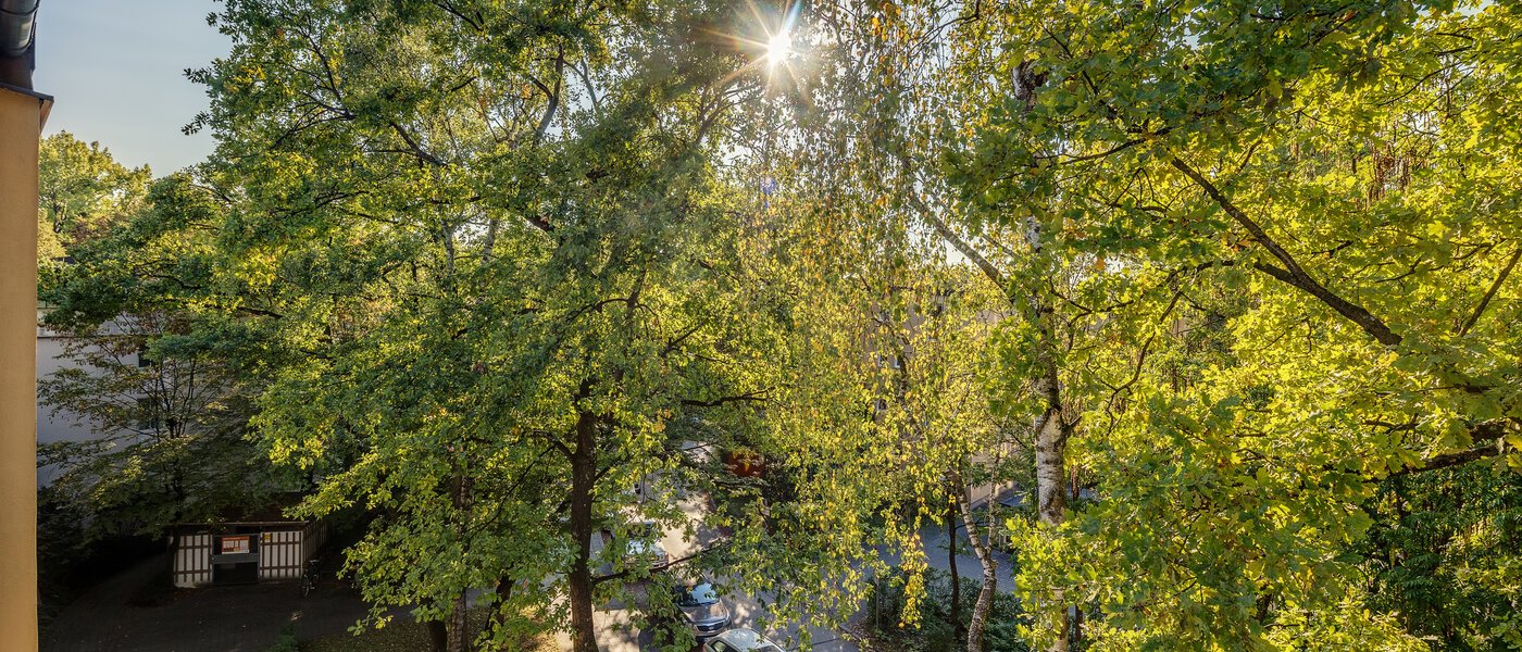 квартира München Parkstadt Bogenhausen 03 вид из окна 11256