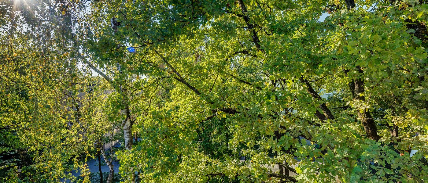 квартира München Parkstadt Bogenhausen 04 вид из окна 11256