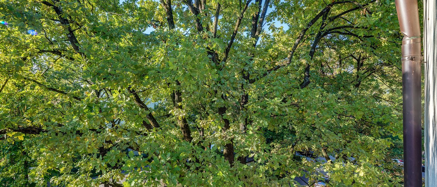 квартира München Parkstadt Bogenhausen 05 вид из окна 11256