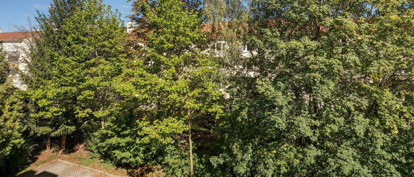 квартира München Obergiesing 01 вид из окна 11258