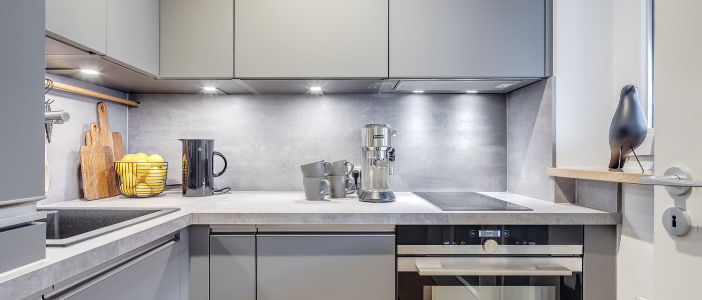 двухэтажная квартира-галерея München Maxvorstadt 01 кухня 11294