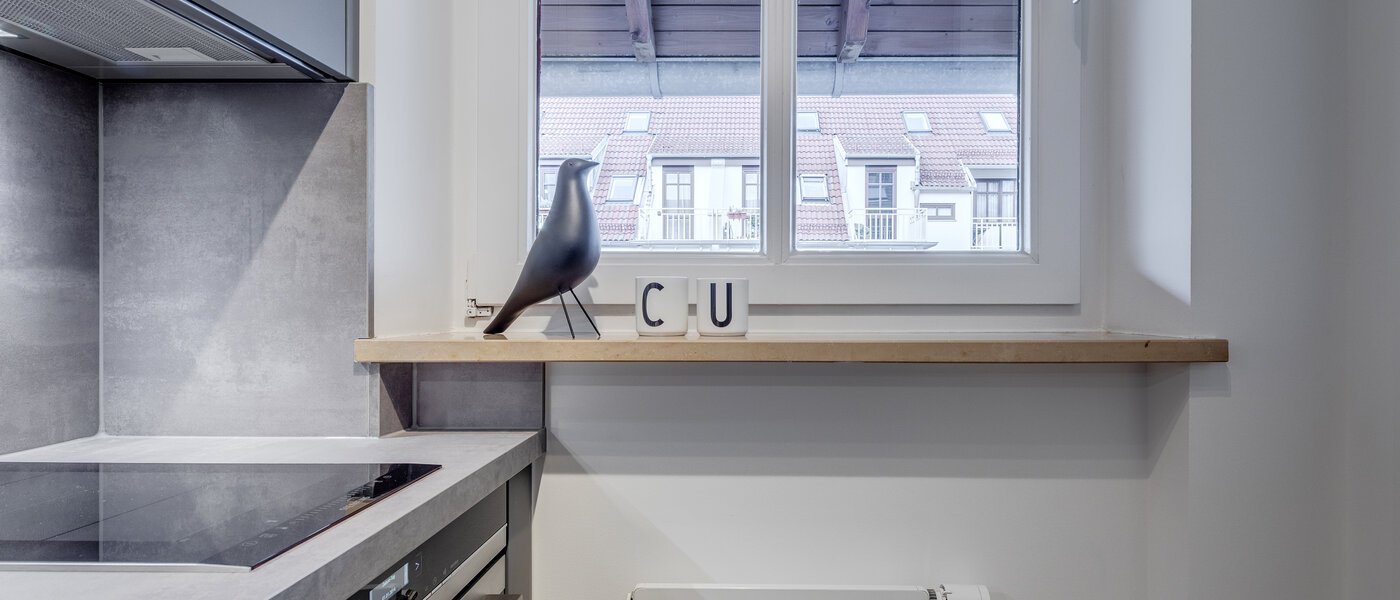 двухэтажная квартира-галерея München Maxvorstadt 04 кухня 11294