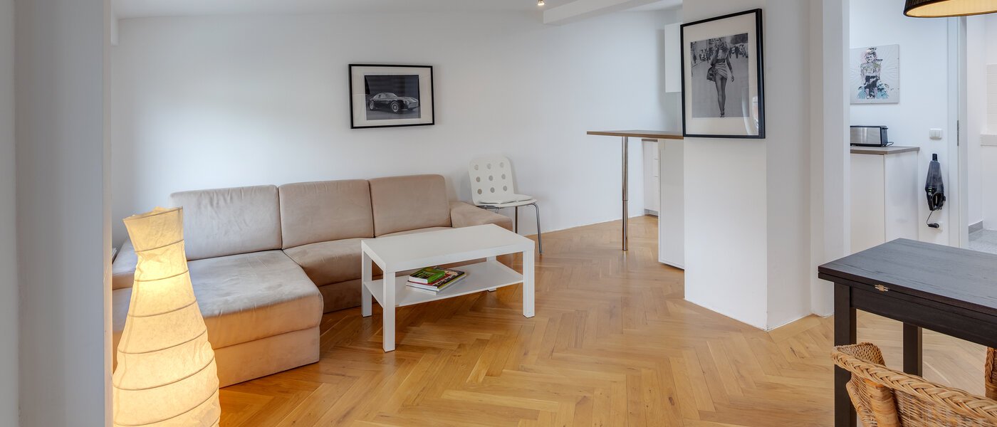 мансардная квартира München Schwanthalerhöhe 02 жилое пространство 11507