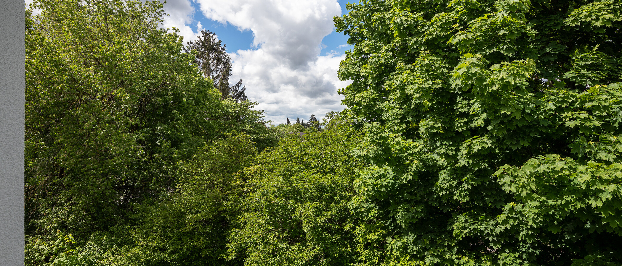 квартира München Nymphenburg 05 вид из окна 11535